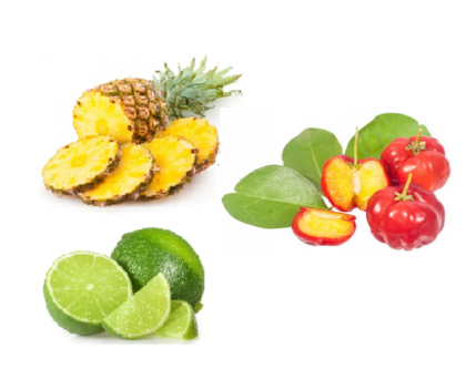 Obrázek MEC SORBET SMOOTHIE IMUNITY PRO 6 x 2 kg (doprodej->zrušeno)